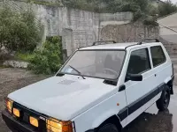 Usata Fiat Panda 4x4 54 CV (39 kW) 1998 Bianco Utilitaria