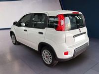 Usata Fiat Panda S 69 CV (50 kW) 2023 Bianco Berlina