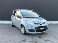 Usata Fiat Panda Connect 70 CV (51 kW) 2020 Grigio Utilitaria