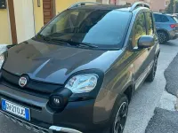 Usata Fiat Panda Cross Cross 85 CV (62 kW) 2021 Grigio Utilitaria