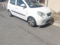 Usata Kia Picanto 61 CV (44 kW) 2008 Bianco Utilitaria
