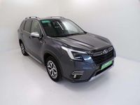 Usata Subaru Forester Style 150 CV (110 kW) 2023 Grigio mag SUV
