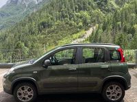 Usata Fiat Panda 4x4 Climbing 75 CV (55 kW) 2013 Verde Utilitaria