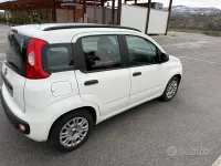 Usata Fiat Panda 75 CV (55 kW) 2014 Bianco Utilitaria