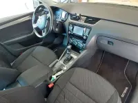 Usata Skoda Octavia Scout 4x4 184 CV (135 kW) 2015 Utilitaria