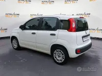 Usata Fiat Panda Easy 69 CV (50 kW) 2019 Bianco Utilitaria