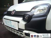 Usata Fiat Panda Cross Cross 69 CV (50 kW) 2024 Bianco Utilitaria