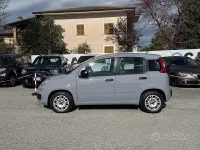 Usata Fiat Panda 69 CV (50 kW) 2019 Grigio Utilitaria