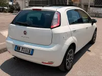 Usata Fiat Punto Lounge 85 CV (62 kW) 2015 Bianco Utilitaria