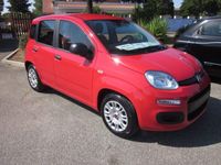 usata Fiat Panda HYBRID 1.0 FireFly S&S * NUOVE *