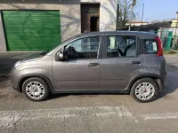 Usata Fiat Panda 69 CV (50 kW) 2022 Grigio Utilitaria