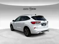 Usata Ford Kuga ST-Line X 225 CV (165 kW) 2023 Bianco SUV
