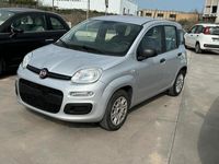 usata Fiat Panda 1.2 69CV EASY NEOPATENTATI