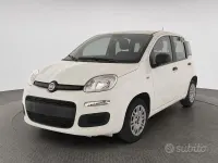Usata Fiat Panda Easy 69 CV (50 kW) 2020 Bianco Utilitaria