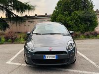 Usata Fiat Punto Lounge 69 CV (50 kW) 2013 Grigio Berlina