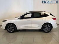 Usata Ford Kuga ST-Line X 224 CV (164 kW) 2022 Bianco SUV