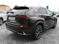 Usata Lexus NX300h Business Edition 155 CV (114 kW) 2018 Marrone SUV