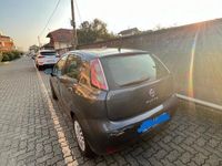 Usata Fiat Punto 86 CV (63 kW) 2024 Grigio Utilitaria