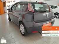 usata Fiat Punto Punto 4 serie1.2 8V 5 porte Street