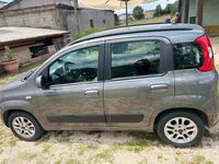 Usata Fiat Panda Lounge 69 CV (50 kW) 2020 Grigio Utilitaria