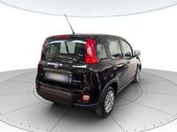 Usata Fiat Panda S 69 CV (50 kW) 2024 Nero Berlina