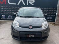 Usata Fiat Panda Cross Cross 70 CV (51 kW) 2022 Grigio Utilitaria