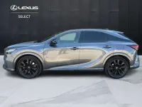 Usata Lexus RX500h Sport Line 371 CV (272 kW) 2023 Grigio SUV