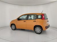 usata Fiat Panda 1.0 FireFly S&S Hybrid City Life