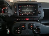Usata Fiat Panda S 70 CV (51 kW) 2024 Rosso Utilitaria