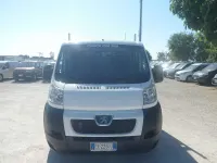 Usata Fiat Ducato 131 CV (96 kW) 2014 Bianco Furgone
