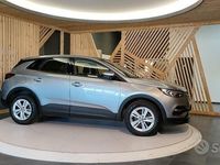 Usata Opel Grandland X Business Edition 131 CV (96 kW) 2020 Nessuno(met.) SUV