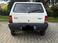 Usata Fiat Panda 2000 Bianco Utilitaria