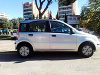 Usata Fiat Panda 2006 Grigio Berlina