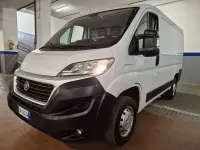 Usata Fiat Ducato 116 CV (85 kW) 2019 Bianco pastello Furgone