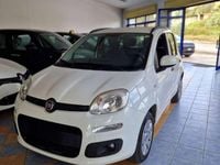 Usata Fiat Panda Easy 69 CV (50 kW) 2019 Utilitaria