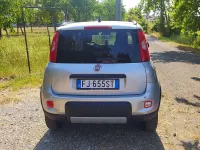 Usata Fiat Panda 4x4 S 95 CV (69 kW) 2017 Grigio Utilitaria