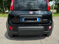 usata Fiat Panda Panda 1.0 FireFly S&S Hybrid City Life