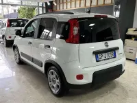 Usata Fiat Panda City Life 69 CV (50 kW) 2023 Bianco Utilitaria