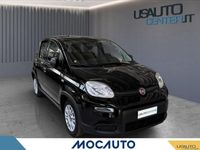 Usata Fiat Panda Icon 70 CV (51 kW) 2024 Nero Utilitaria