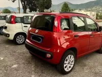 Usata Fiat Panda 75 CV (55 kW) 2015 Bianco Utilitaria