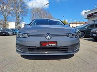 usata VW Golf VIII 2.0 tdi Active 115cv dsg PERMUTE