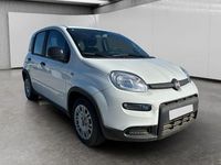 Usata Fiat Panda S 70 CV (51 kW) 2024 Bianco Utilitaria