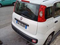 usata Fiat Panda PandaIII 2012 1.3 mjt 16v Pop 75cv