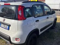 Usata Fiat Panda 4x4 S 86 CV (63 kW) 2019 Bianco Utilitaria