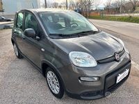 Usata Fiat Panda S 69 CV (50 kW) 2023 Grigio Utilitaria