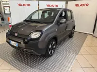 Usata Fiat Panda Cross Cross 71 CV (52 kW) 2022 Grigio Utilitaria