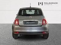 Usata Fiat 500 Club 70 CV (51 kW) 2023 Grigio Utilitaria