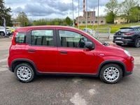 Usata Fiat Panda S 69 CV (50 kW) 2024 Rosso Utilitaria