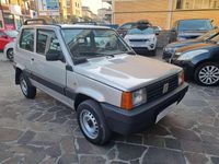 Usata Fiat Panda 4x4 Climbing 54 CV (39 kW) 2002 Argento Utilitaria