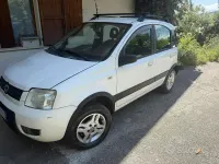 Usata Fiat Panda 4x4 75 CV (55 kW) 2009 Utilitaria